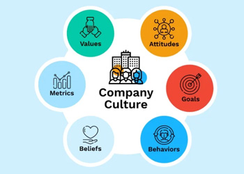 Company Culture